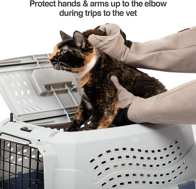 3 PetFusion Unisex Multi-purpose Pet Glove grooming glove (pack of 1)