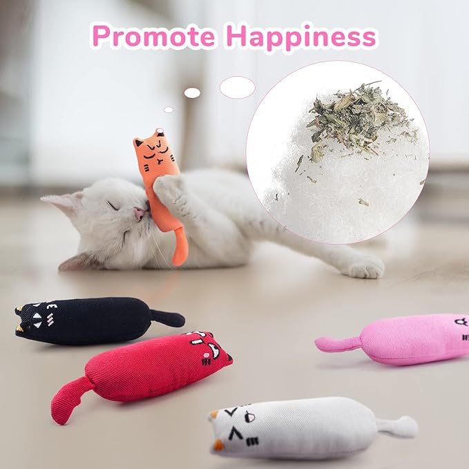 1 5Pcs Bite Resistant Catnip Toy for Cats,Catnip Filled Cartoon Mice Cat Teething Chew Toy