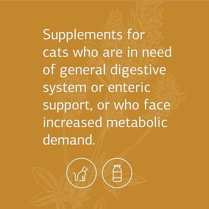 1 Standard Process - Feline Enteric Support - 90 Tablets