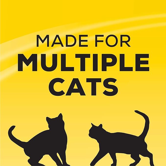 3 Purina Tidy Cats Clumping Cat Litter, 24/7 Performance Multi Cat Litter - 38 lb. Box