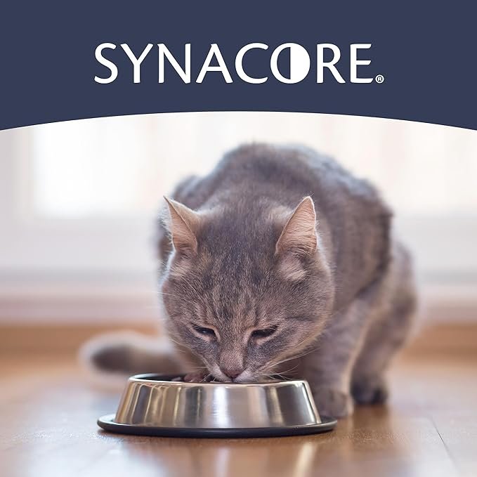 3 Van Beek Natural Science Synacore Feline - All Natural Formula to Provide Immune Support for Cats & Help Maintain Digestive Health - Probiotics and Vitamins for Cats - Pet Products - (30 Count)