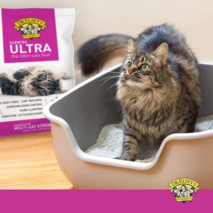 2 Dr. Elsey's Premium Clumping Cat Litter | Ultra Scented | 99.9% Dust-Free, Low Tracking, Hard Clumping, Superior Odor Control, Natural Ingredients & Moisture-Activated Scent