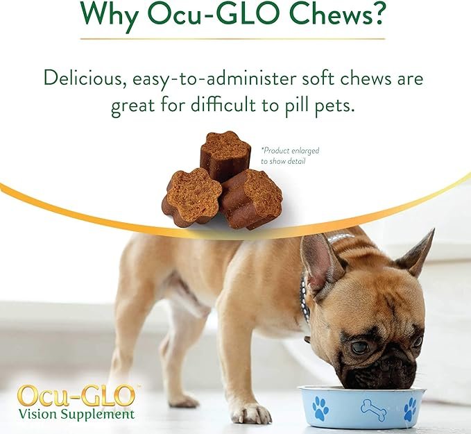1 Ocu-GLO Cat & Dog Senior Supplement for Eye Support - Chewable Vision Vitamins Supplements for Large and Small Pets Care with Lutein, Omega-3 Fatty Acids, Grape Seed Extract & Antioxidants