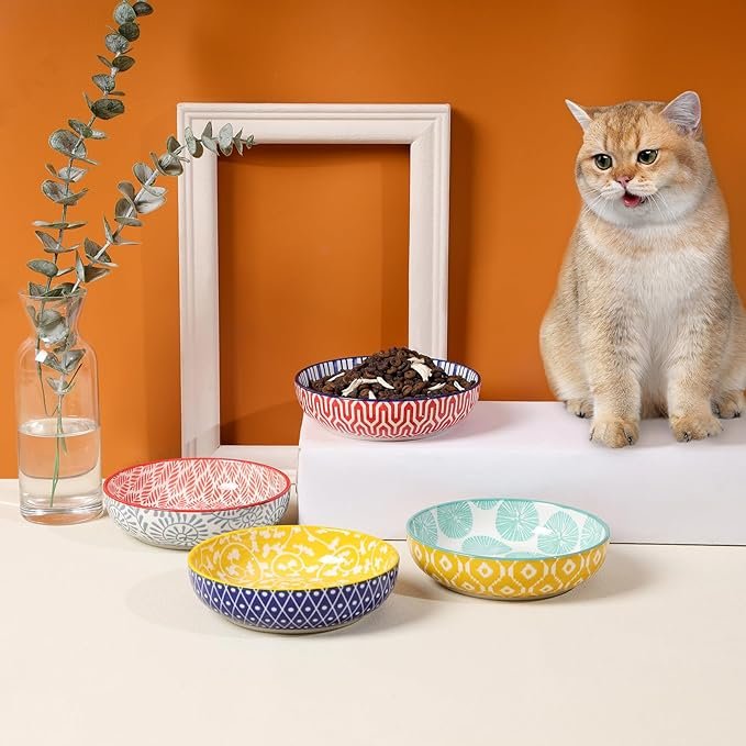 1 Selamica Ceramic Cat Food Bowls Set of 4, 5.6 Inch Wide Shallow Cat Bowls/Dishes for Food and Water, 8 OZ Small Flat Cat Feeding Bowls for Relief Whisker Fatigue, Dishwasher Safe, Assorted Colors