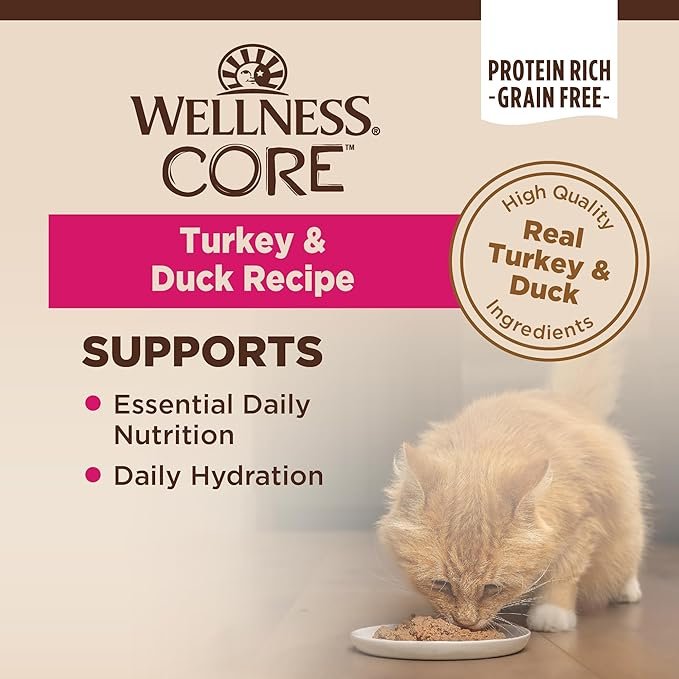 1 Wellness CORE Grain-Free Wet Cat Food, Natural Canned Food for Cats, Made with Real Meat (Turkey & Duck Pate, 3 oz Cans, Pack of 12)