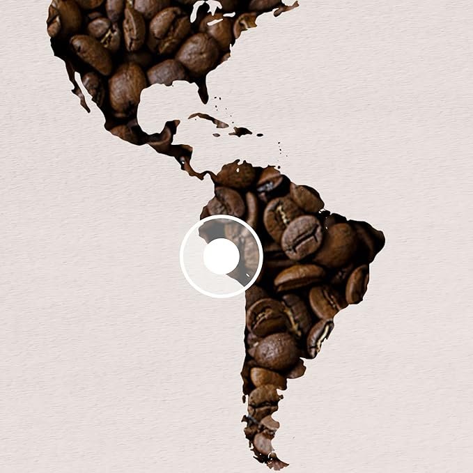 4 Lavazza ¡Tierra! Organic Amazonia Whole Bean Coffee Medium Roast, Floral Notes, 10.5 Ounce (Pack of 6) - Packaging May Vary
