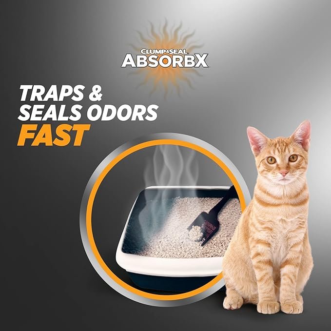 2 ARM & HAMMER Clump & Seal AbsorbX Platinum Lightweight Quick Absorbing Scented Multi-Cat Clumping Cat Litter with 10 Days of Odor Control, 18 lbs.