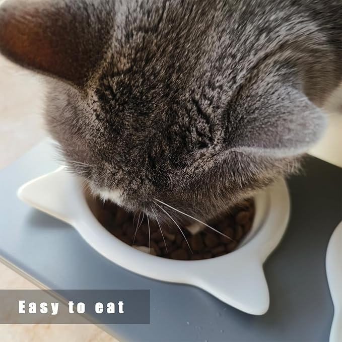 5 Pandaq Adjustable Cat Feeder,Elevated Cat Ceramic Bowls 15° Tilted Raised Cat Food Bowls with 2 Thickened Ceramic Bowls 300ML & A Sturdy Iron Stand for Cats