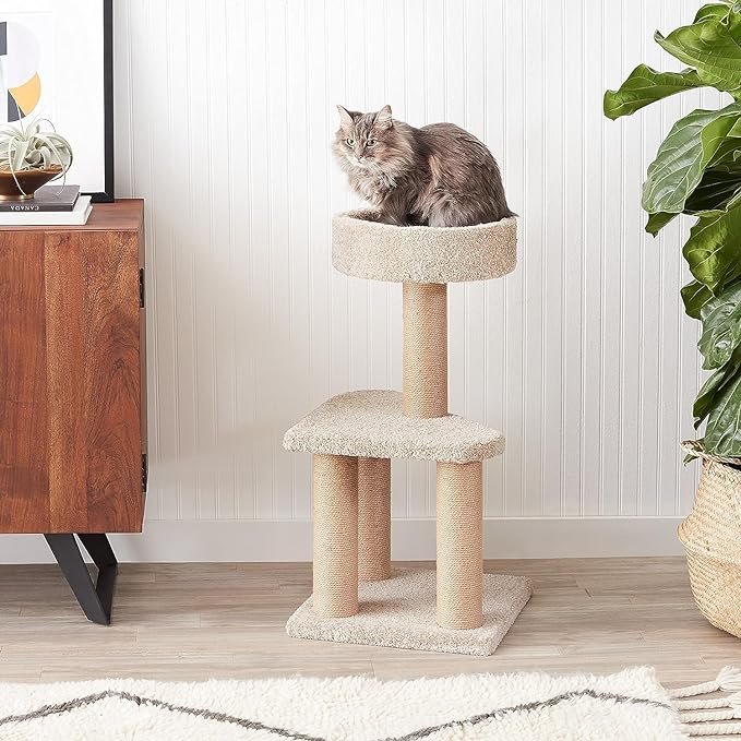 1 Amazon Basics Cat Tree Indoor Climbing Activity Tower with Scratching Posts, Medium, 15.7 x 31.5 Inches, Beige
