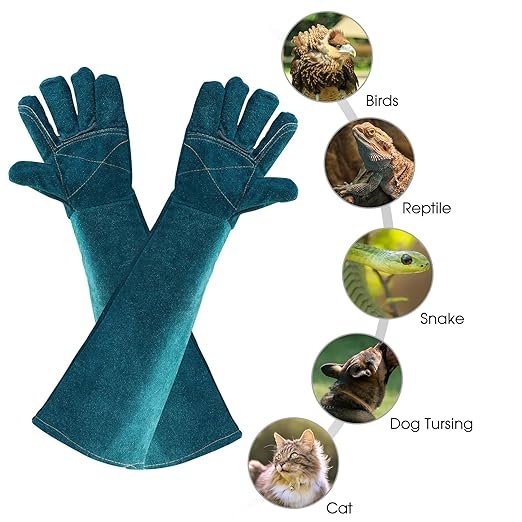 3 Animal Handling Gloves Bite Proof Multipurpose Pet Glove for Trips to Vet Grooming Puncture Proof Training Anti-Bite Scratch for Cat Dog Snake Falcon Grabbing Reptile