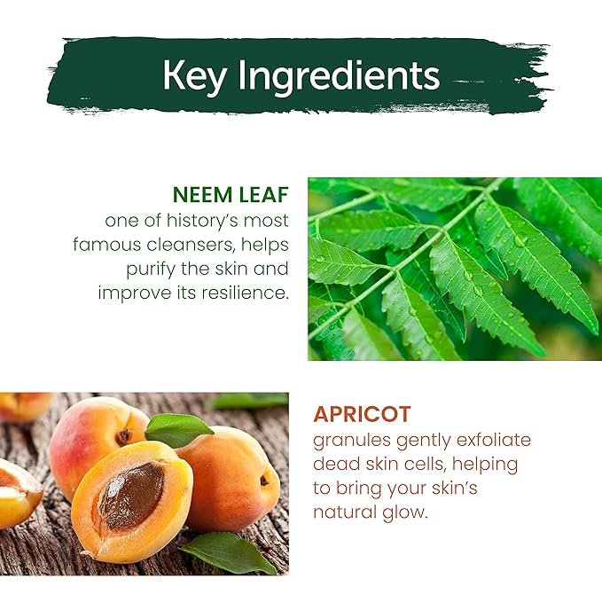 3 Himalaya Purifying Neem Scrub with Neem and Apricot, For Normal to Oily Skin, Free from Parabens, SLS, and Phthalates, Dermatologically Tested, 150 ml (5.07 oz)