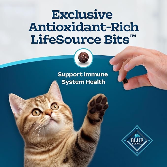 4 Blue Buffalo Tastefuls Kitten Food With DHA Dry Cat Food Made in the USA with Natural Ingredients, Chicken Recipe, 7-lb. Bag
