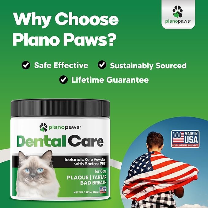 2 Cat Dental Care Powder - Easier Than Cat Toothpaste - Cat Dental Treat Alternative to Get Plaque Off - Cat Teeth Cleaning Powder with Bactase PET - Cat Breath Freshener for Cat Bad Breath - Oral Care