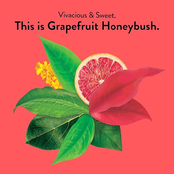 1 Choice Organic Grapefruit Honeybush Herbal Tea, Caffeine Free, 16 Bags (Pack Of 6)