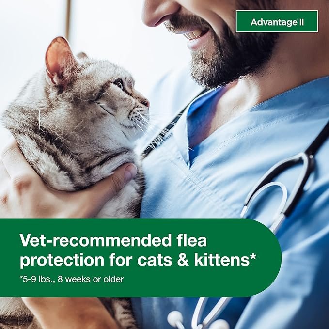 3 Advantage II Small Cat Vet-Recommended Flea Treatment & Prevention | Cats 5-9 lbs. | 6-Month Supply