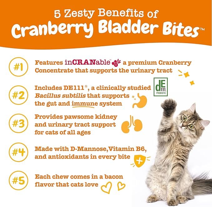 1 Zesty Paws Cranberry Bladder Bites for Cats - Kidney & Urinary Tract Health - Soft Chews with D-Mannose, Vitamin B6 & L-Arginine - Immune & Gut Support - Bacon - 60 Count