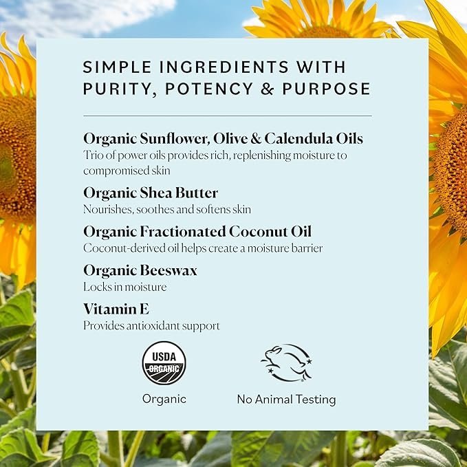 3 Sky Organics Organic Petroleum-free Jelly, Multi-Purpose Balm, Moisturizer with Organic Shea Butter, Coconut Oil, Olive Oil & Vitamin E, 2.5 Oz