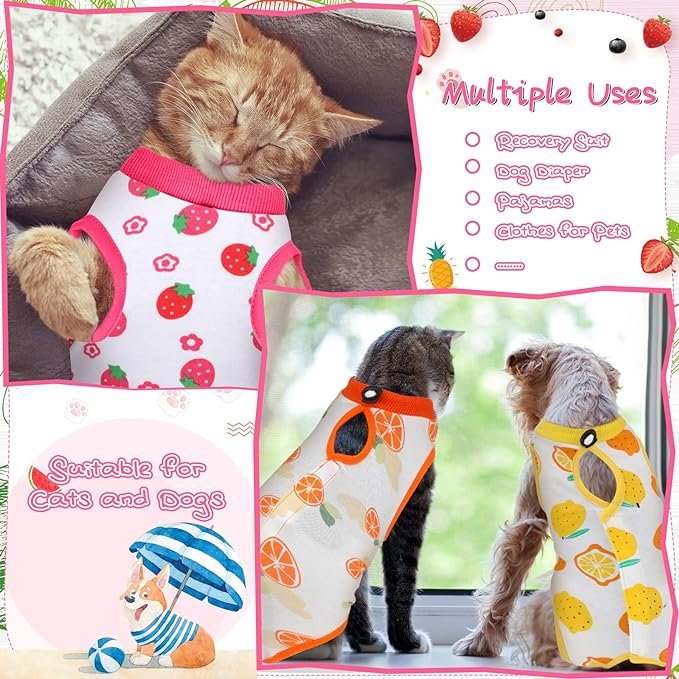 2 3 Pieces Cat Recovery Suit Kitten Recovery Suit E-Collar Alternative for Cats and Dogs Abdominal Skin Anti Licking Pajama Suit (Fruit Pattern, Large)