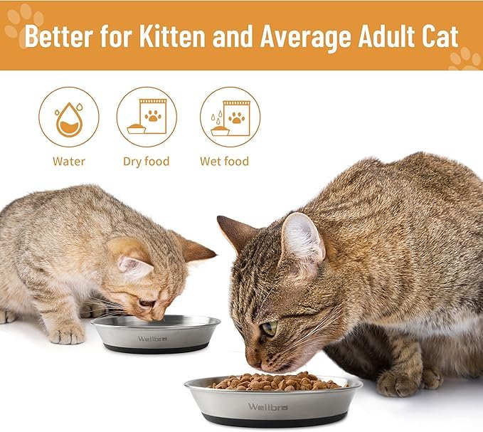 3 Wellbro Cat Bowls, 2 Pcs Stainless Steel Cat Bowls for Food and Water, Whisker Fatigue Shallow Non-Slip Cat Dishes Plates for Small Dog Puppies Cats