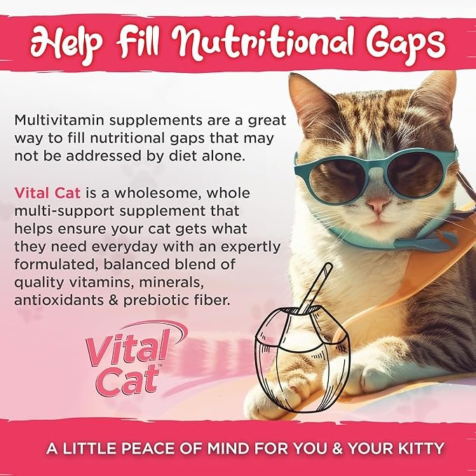 4 Vital Planet - Vital Cat Multi Vitamin Mineral and Antioxidant Powder for Cats 75 gram 30 Servings