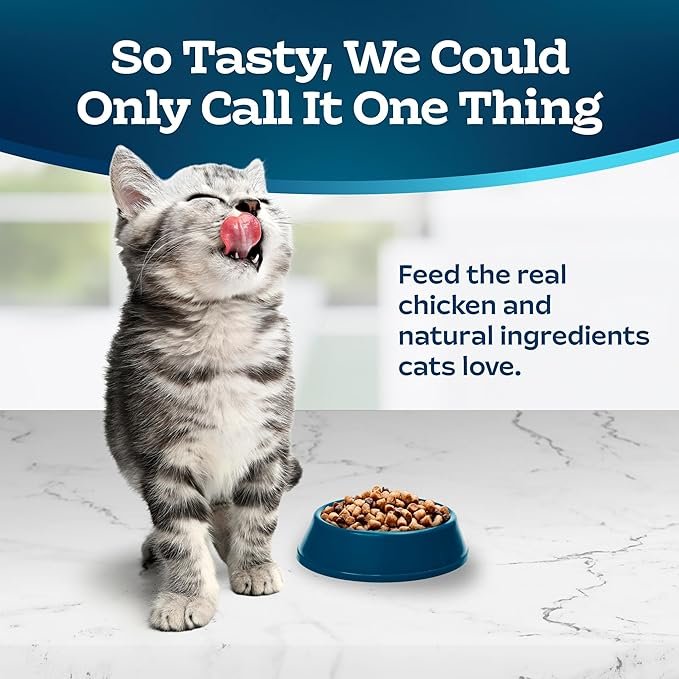 1 Blue Buffalo Tastefuls Kitten Food With DHA Dry Cat Food Made in the USA with Natural Ingredients, Chicken Recipe, 7-lb. Bag
