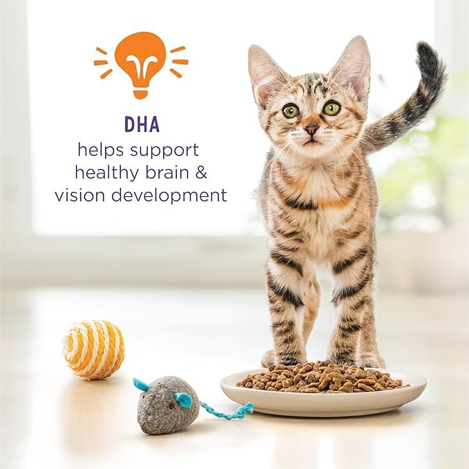 3 Purina Kitten Chow Kitten Food Healthy Development with Real Chicken Dry Kitten Food - 14 lb. Bag