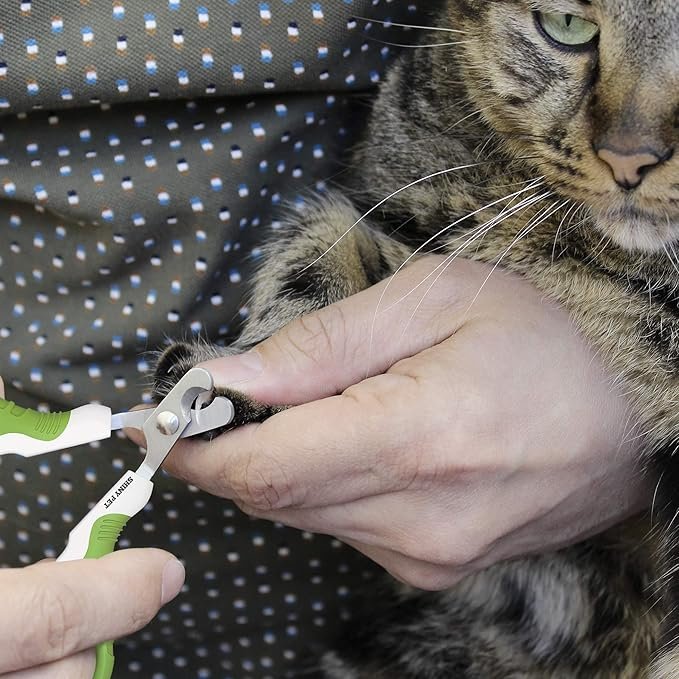 4 Pet Nail Clippers for Small Animals - Best Cat Nail Clippers & Claw Trimmer for Home Grooming Kit - Professional Grooming Tool for Tiny Dog Cat Bunny Rabbit Bird Puppy Kitten Ferret - Ebook Guide