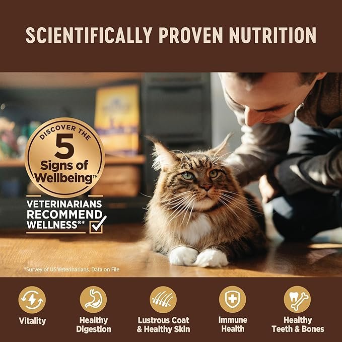 3 Wellness CORE Grain-Free Wet Cat Food, Natural Canned Food for Cats, Made with Real Meat (Turkey & Duck Pate, 3 oz Cans, Pack of 12)