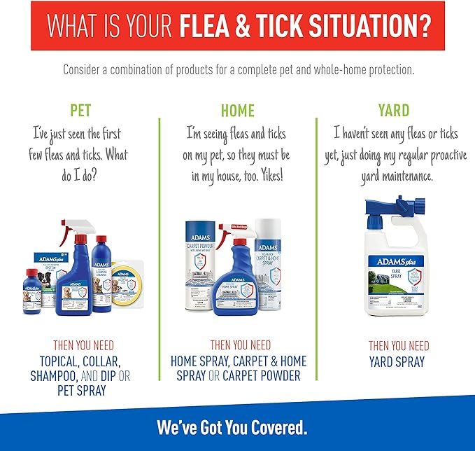 3 Adams Plus Flea & Tick Shampoo with Precor for Cats, Kittens, Dogs & Puppies Over 12 Weeks Of Age |Sensitive Skin Flea Treatment |Kills Adult Fleas, Flea Eggs, Ticks, and Lice |24 Oz, Pump Included