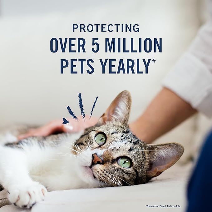 2 PetArmor Plus Flea & Tick Prevention for Cats Over 1.5 lbs, Waterproof Topical, Fast Acting & Long Lasting, Compare to Leading Brand, 3 Doses