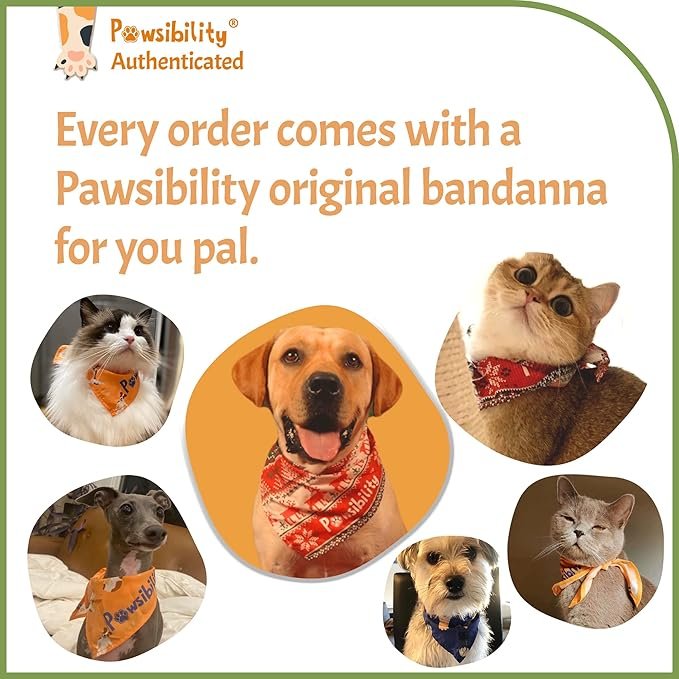 3 Reinvented Pet Nail Clippers for Your Pal - [USB Rechargeable] - LED Light for Bloodline | Razor Sharp and Durable Blade | Vets Recommended Trimming Tool for Dogs and Cats - Green