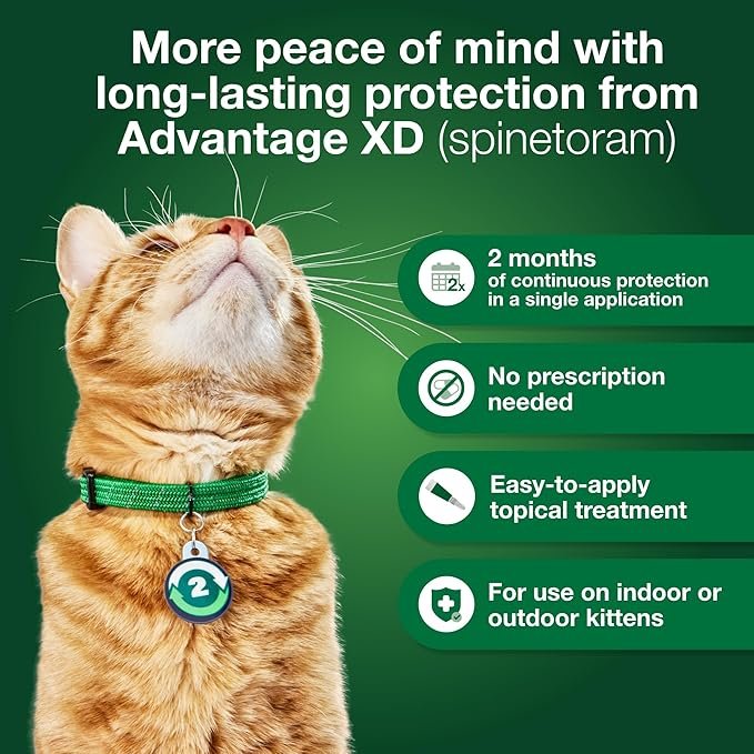 2 Advantage XD Small Cat Flea Prevention & Treatment For Cats 1.8-9lbs. | 2-Topical Doses, 2-Months of Protection Per Dose