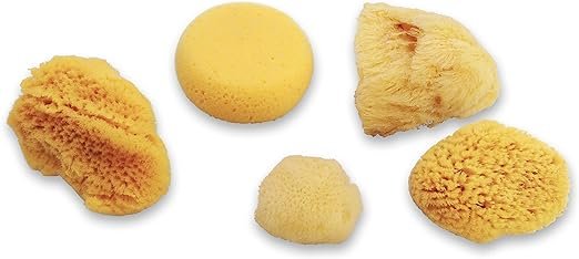 3 Natural Sea & Synthetic Sponges - Assorted Sizes 7pc Value Pack for Crafts & Artists: Great for Painting, Hobbies, Art, Effects, Ceramics, Clay, Pottery by Lullingworth®