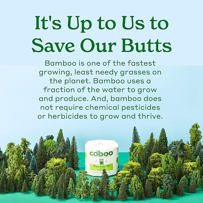3 Caboo Sustainable Bamboo Paper Towels, 6 Rolls, Earth-Friendly Kitchen Paper Towels made from Tree-Free Bamboo Fiber with Durable 2-Ply Sheets