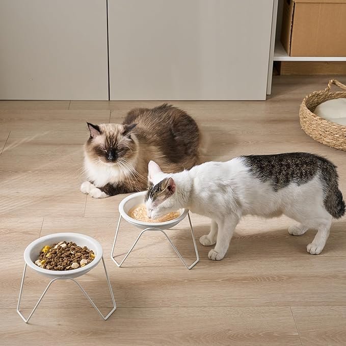 4 CEEFU 2-Pack Ceramic Raised Cat Bowls for Food and Water, Elevated Pet Dishes Bowls with Stand, Cats and Small Dogs, Dishwasher Safe