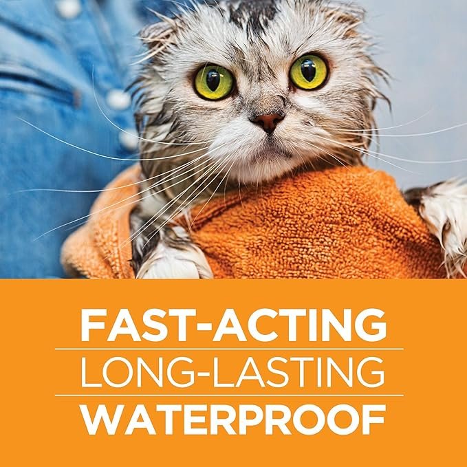 4 TevraPet Actispot II Flea Treatment for Large Cats 9+ lbs | 6 Doses | Powerful Prevention and Control