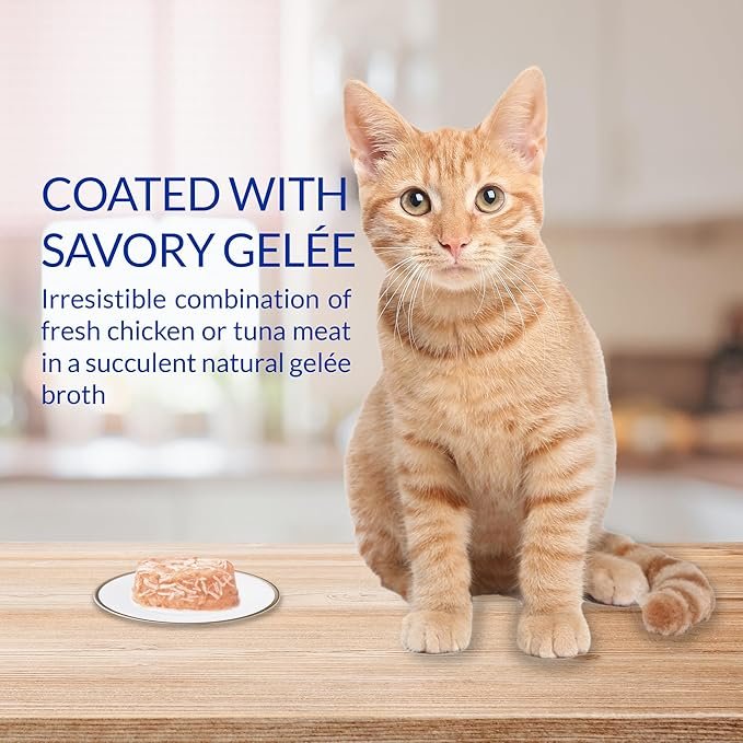 1 INABA Twins for Cats, Shredded Chicken & Broth Gelée Side Dish/Topper Cups with Green Tea Extract, 1.23 Ounces per Serving, 12 Servings, Tuna & Chicken with Salmon Recipe