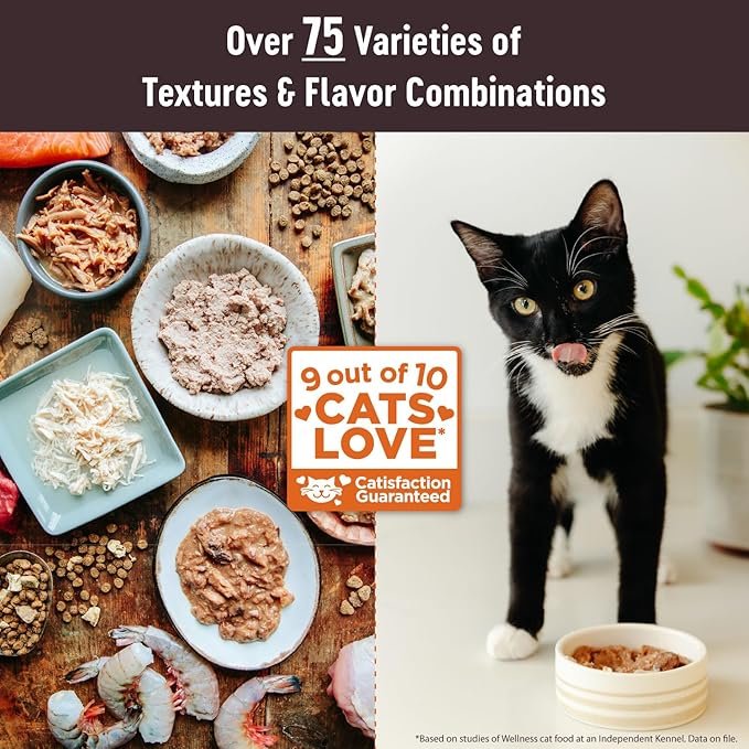 1 Wellness CORE Tiny Tasters Wet Kitten Food, Complete & Balanced Natural Pet Food, Made with Real Meat, 1.75-Ounce Pouch, 12 Pack (Kitten, Minced Chicken in Gravy)