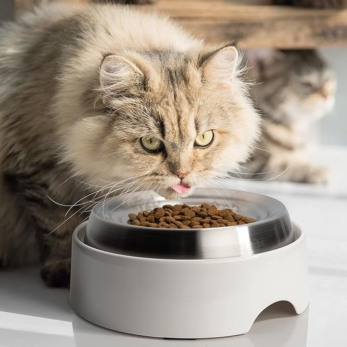 4 CatGuru Cat Bowls, Whisker Stress Free Cat Food Bowl, Reliefs Whisker Fatigue, Wide Cat Bowl, Non Slip Cat Food Bowls, Shallow Cat Dish, Cat Feeding & Watering Supplies (Stainless Steel)