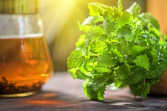 4 Lemon Balm (Herbal Tea): (Melissa Officinalis Caffeine Free) - Balm Leaf (Cut and Sifted), 1lb (16Oz) U.S. Wellness Bulk Tea