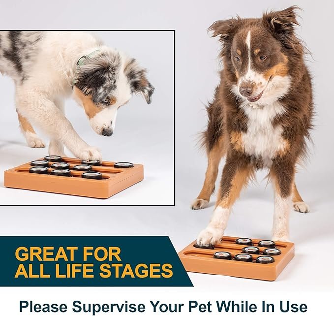 2 Our Pets Sushi Interactive Puzzle Game Dog Toys & Cat Toys (Dog Puzzle, Cat Puzzle & Interactive Dog Toys) Great Alternative to Snuffle Mat for Dogs, Slow Feeder Dog Bowls & Slow Feeder Cat Bowl