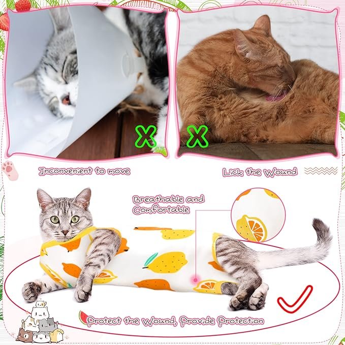 4 3 Pieces Cat Recovery Suit Kitten Recovery Suit E-Collar Alternative for Cats and Dogs Abdominal Skin Anti Licking Pajama Suit (Fruit Pattern, Large)