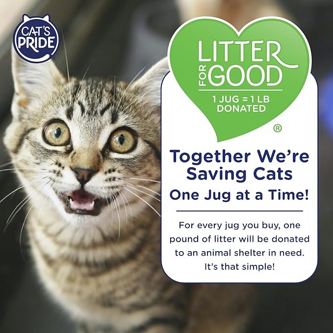 4 Cat's Pride Max Power: UltraClean Low Tracking Multi-Cat Clumping Litter - Keeps Paws & Home Clean - Up to 10 Days of Powerful Odor Control - 99% Dust Free - Unscented, 15 Pounds