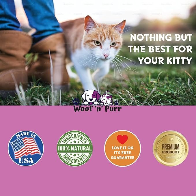 5 Immune Support for Cats - Helps to Support a Healthy Immune System - Cat Immune Booster - Cat Immune Support - Cat Immune Supplement - Immune Support Cats - Cat Immune Support Supplement - 1 fl oz