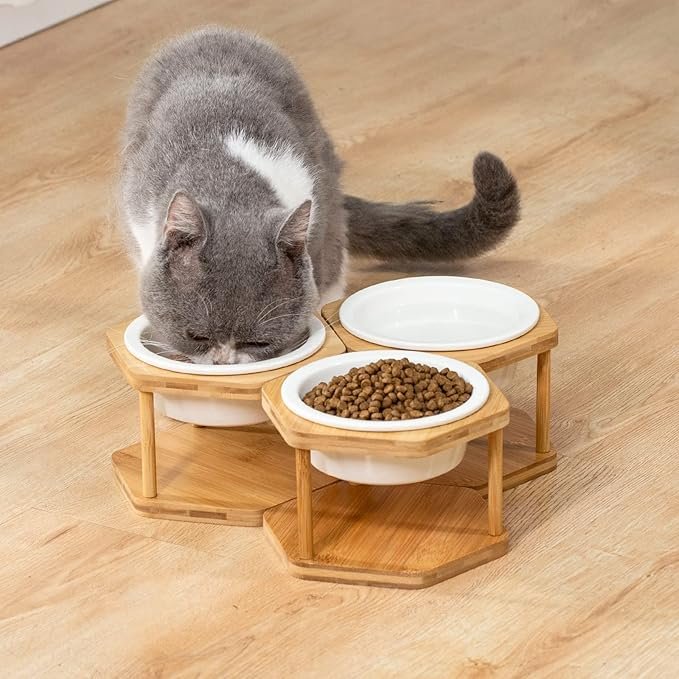 3 Lusifaco Set of 3 Single Elevated Cat Bowls, Ceramic Raised Cat Food Water Bowl with Bamboo Stand, Porcelain Pet Dishes Stand Feeder with Anti Slip Feet for Cats and Small Dogs, 13 oz(Ceramic)