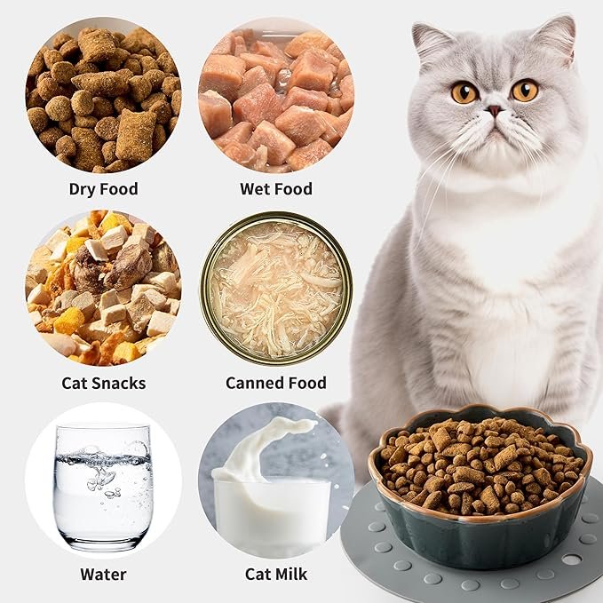 2 SIDUCAL Cat Bowls - 5 Inches Cat Food Bowl Cat Dishes with Silicone Non-Slip Mats, 3 Pieces Cat Bowls for Indoor Cats, Ceramic Cat Food and Water Bowl Set Gift for Pet Lovers
