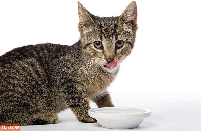 2 Hartz Hairball Remedy Plus Salmon Flavored Paste for Cats and Kittens, 2.5 Ounce