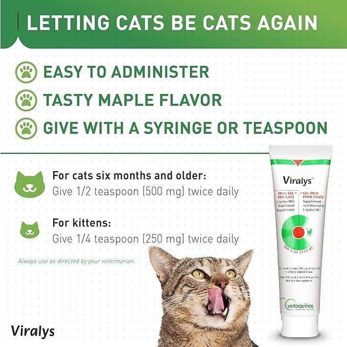 2 Vetoquinol Viralys Gel L-Lysine Supplement for Cats, 5oz - Cats & Kittens of All Ages - Immune Health - Sneezing, Runny Nose, Squinting, Watery Eyes - Palatable Maple Flavor Lysine Gel