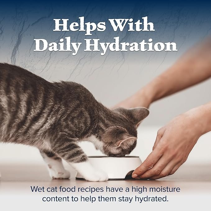4 Blue Buffalo Wilderness Kitten Food, High-Protein & Grain-Free Wet Cat Food Paté Variety Pack, Chicken & Salmon Recipes, 3-oz. Cans (6 Count, 3 of Each)