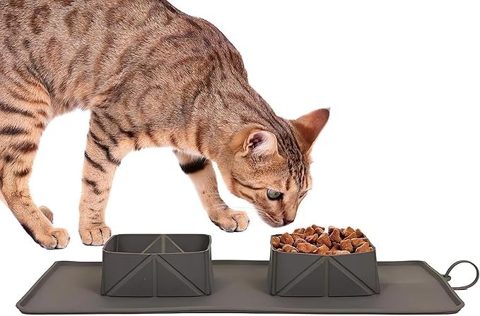 3 Generic Portable Pet Feeder, Silicone Bowls for Dog and Cat Travel, Collapsible Dish for Food and Water, 2-in-1 Solution with Adjustable Bow Ties